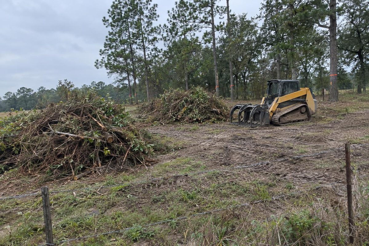An acreage lot with brush piles and a small track loader, a line of pines left standing at the edge