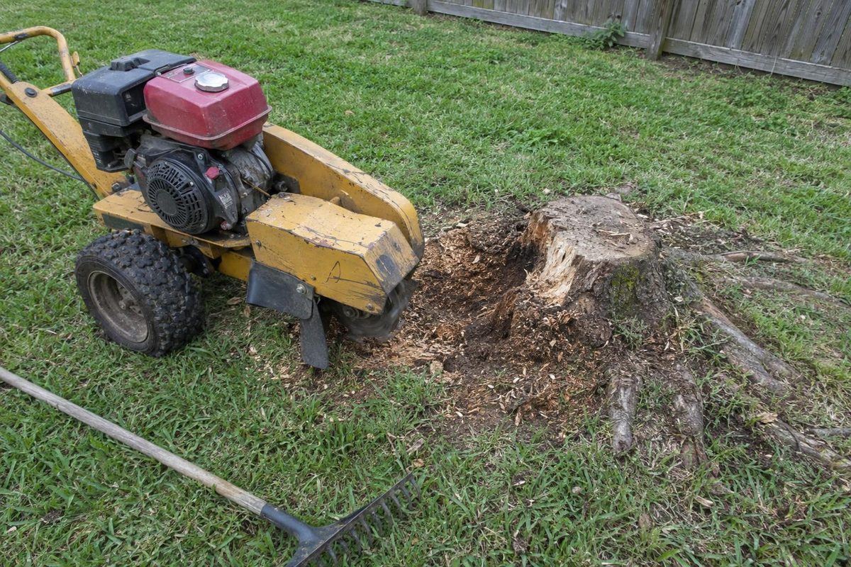 A stump grinder beside a half-ground stump in a lawn, a mound of damp wood chips around the hole